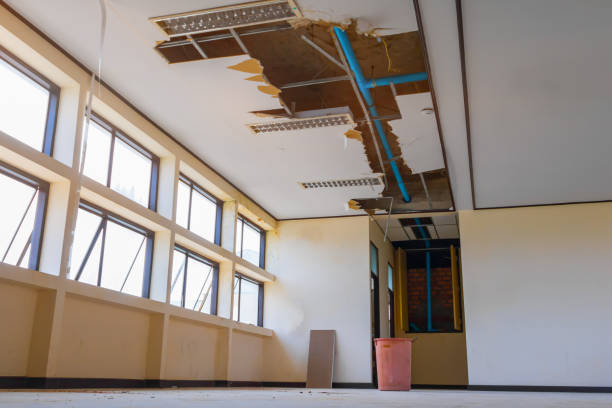 Best Ceiling water damage repair  in Eulyptus Hills, CA