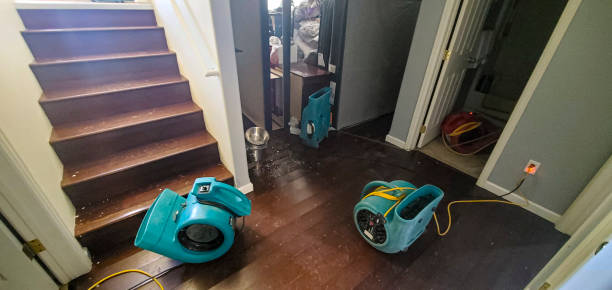 Best Fire Damage Restoration  in Eulyptus Hills, CA