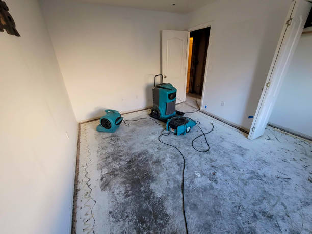 Best Water damage restoration near me  in Eulyptus Hills, CA