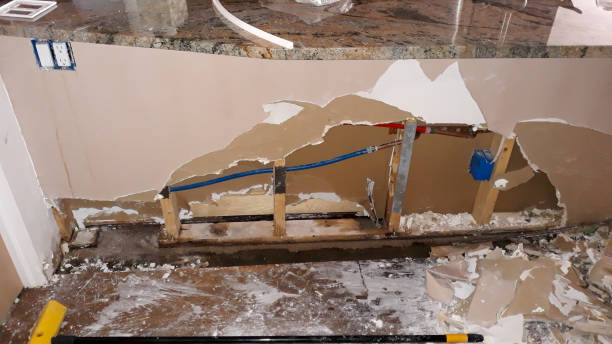 Best 24-hour water damage restoration  in Eulyptus Hills, CA