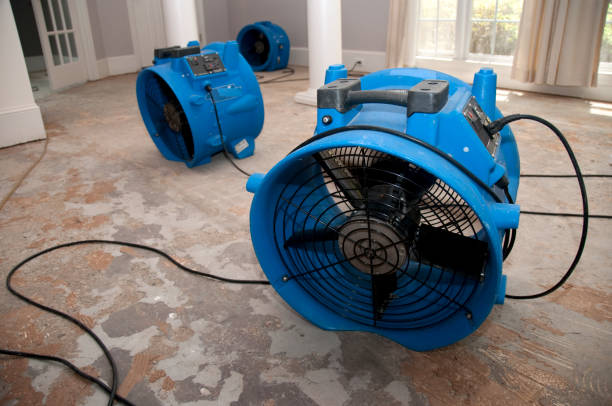 Best Commercial water damage restoration  in Eulyptus Hills, CA