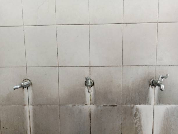 Best Commercial water damage restoration  in Eulyptus Hills, CA