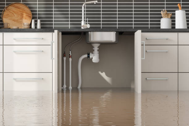 Best Flooded house restoration  in Eulyptus Hills, CA