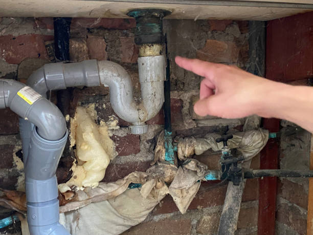 Best 24/7 water damage repair  in Eulyptus Hills, CA