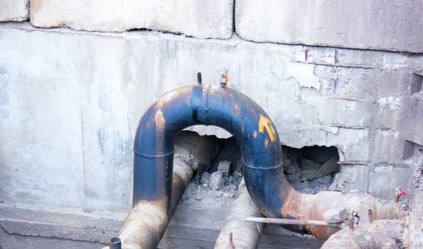 Best Water damage restoration near me  in Eulyptus Hills, CA
