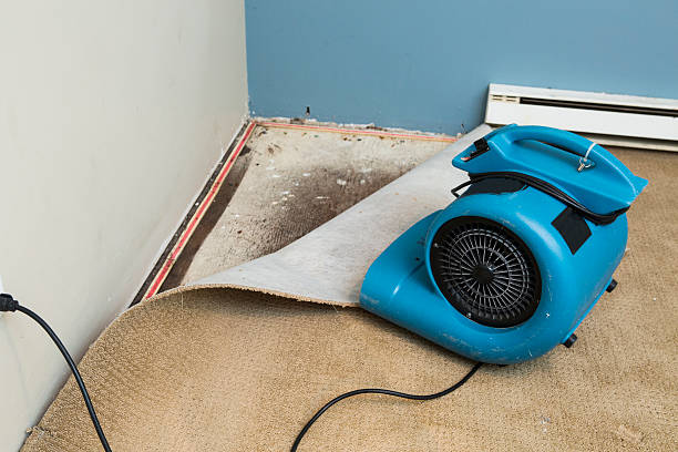 Best Water damage restoration near me  in Eulyptus Hills, CA